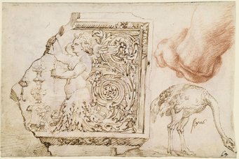 Maarten van Heemskerck, Various studies, pen and brown ink / red chalk, 136 × 210 mm. Berlin, Kupferstichkabinett, Inv. 79 D 2, fol. 50 r (Photo Staatliche Museen zu Berlin / Dietmar Katz) Maarten van Heemskerck, Various studies, pen and brown ink / red chalk, 136 × 210 mm. Berlin, Kupferstichkabinett, Inv. 79 D 2, fol. 50 r (Photo Staatliche Museen zu Berlin / Dietmar Katz)