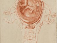 Authorial Control/Artistic Agency: Graphic Techniques and Intaglio Methods in Eighteenth-Century Scientific Image-Making Practices