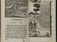 Naples and Natural Disasters: An Inquiry in the Field of Art-Historical Disaster Research