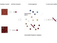 ColorwAI: Generative Colorways of Textiles through GAN and Diffusion Disentanglement