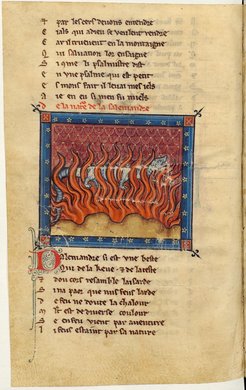 Der Salamander, in: Guillaume le Clerc, Bestiaire, Paris, Bibliothèque Nationale de France, ms. fr. 14964, f. 158v