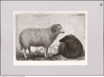 Staatliche Museen zu Berlin - Preußischer Kulturbesitz, Kupferstichkabinett - Sammlung der Zeichnungen und Druckgraphik, KdZ-Nr. KdZ 26216 Staatliche Museen zu Berlin - Preußischer Kulturbesitz, Kupferstichkabinett - Sammlung der Zeichnungen und Druckgraphik, KdZ-Nr. KdZ 26216
