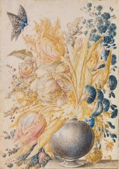 Giovanna Garzoni, Compositon of Flowers and Butterflies, black chalk, tempera, and diluted ink on parchment, 361 x 256 mm, Naples, Museo e Real Bosco di Capodimonte, GDS 822
