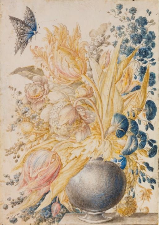Giovanna Garzoni, Compositon of Flowers and Butterflies, black chalk, tempera, and diluted ink on parchment, 361 x 256 mm, Naples, Museo e Real Bosco di Capodimonte, GDS 822
